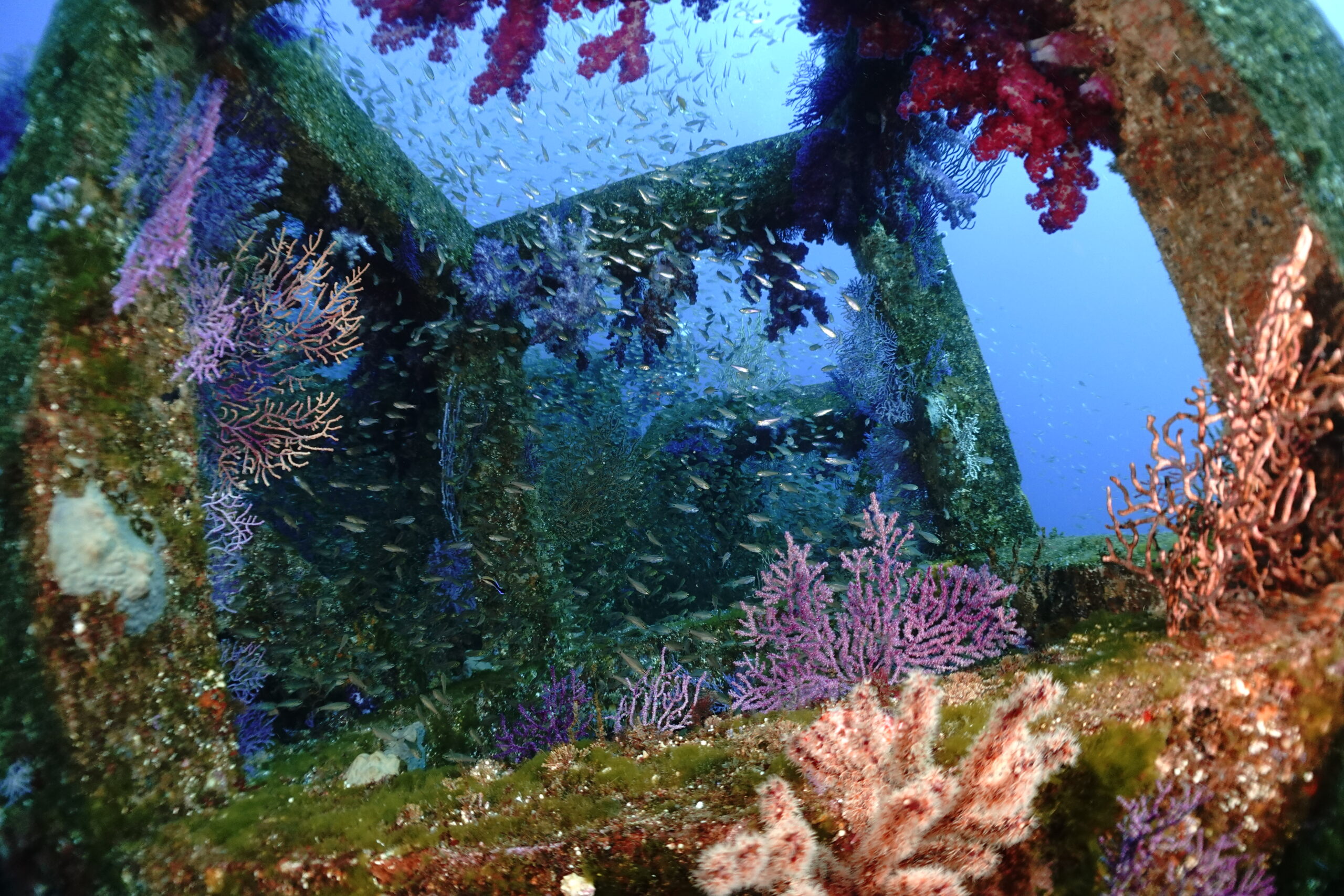 1/16(金) 富戸 ピラミッド