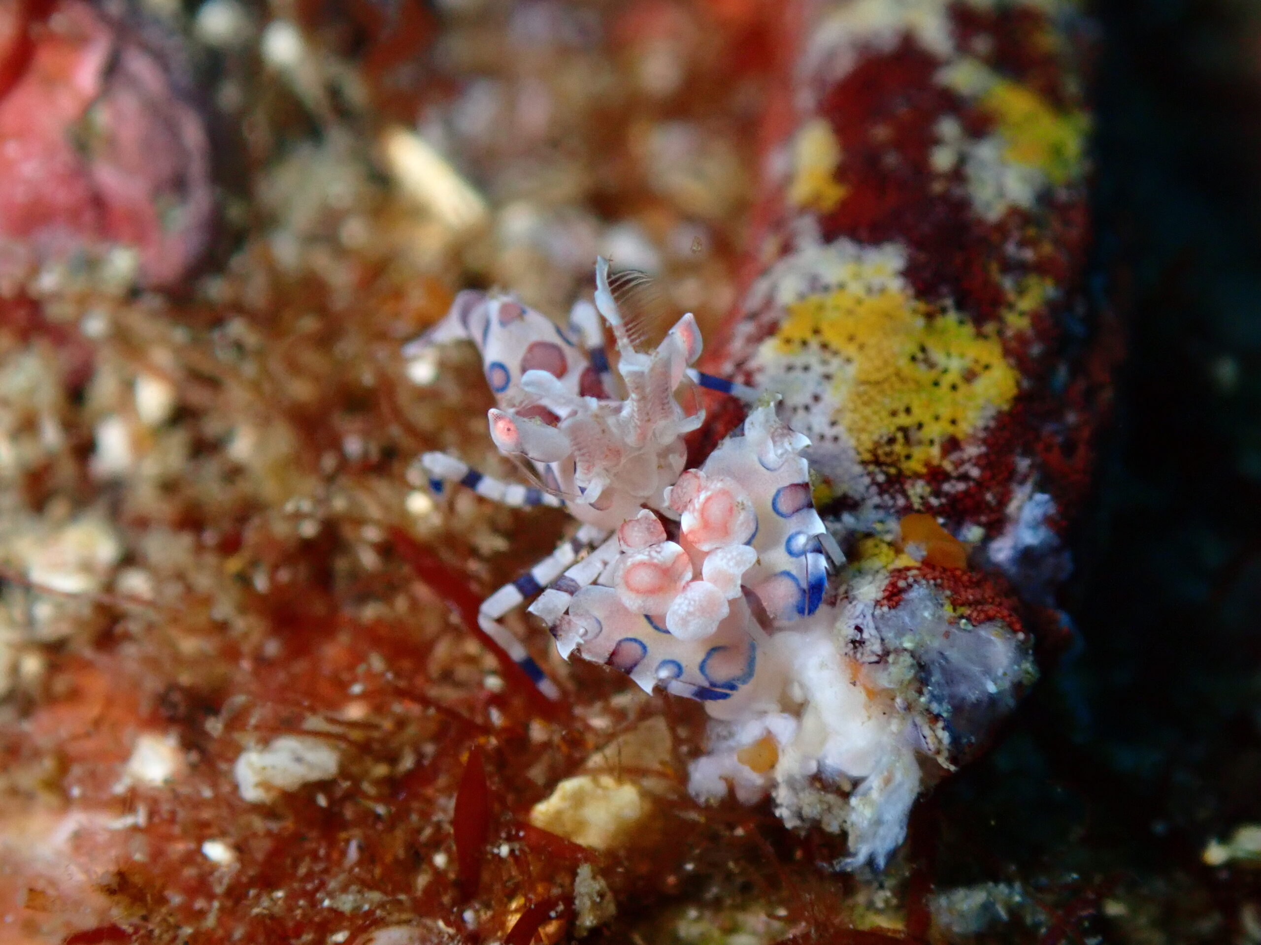 1/10　新春祭1日目！