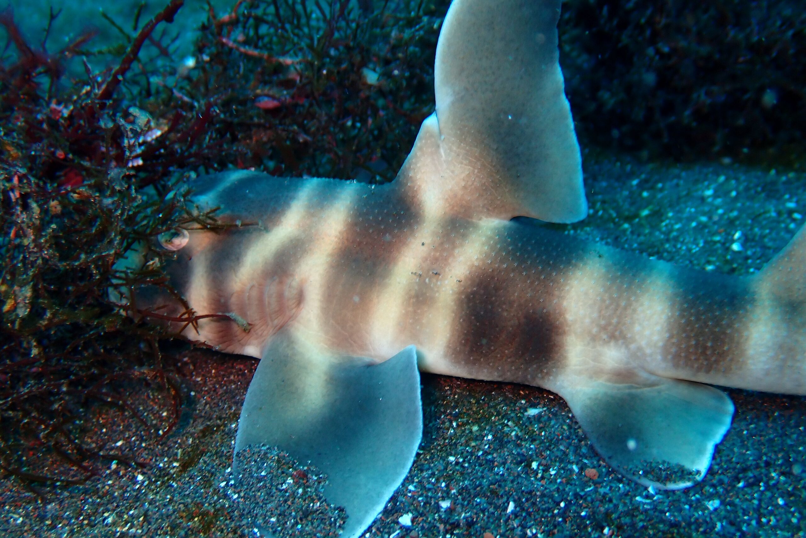 1/28　赤沢ビーチ