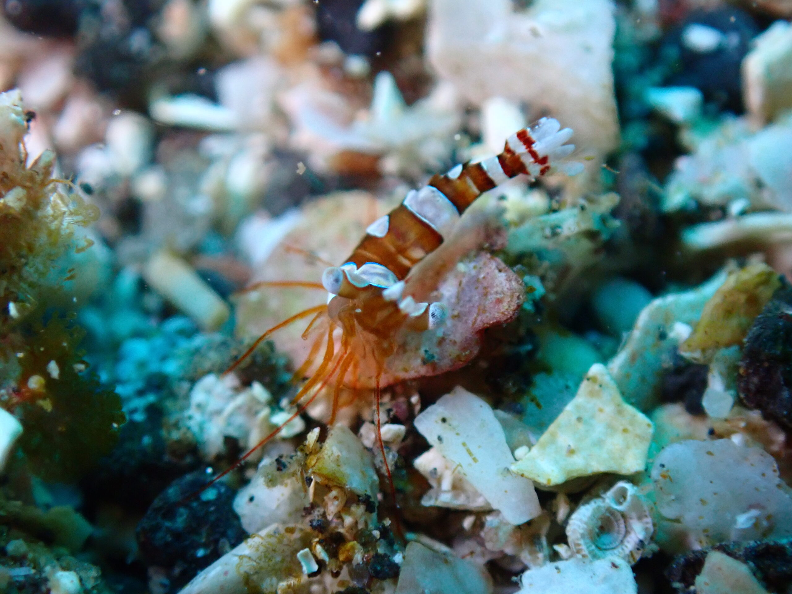 1/29　富戸ヨコバマ